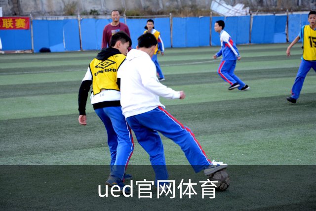 ued官网体育公司介绍图片